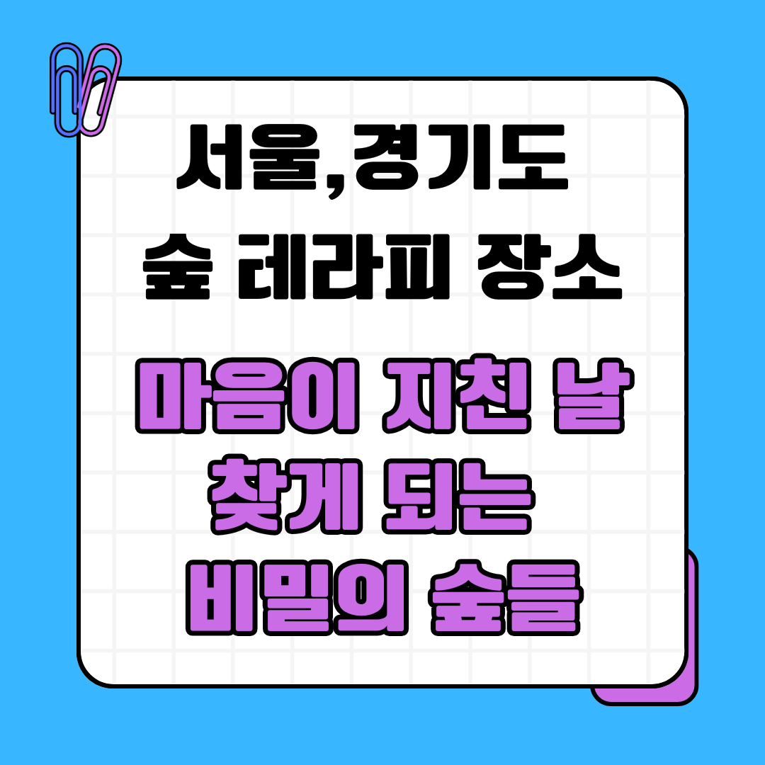 서울,경기도 숲 테라피